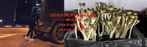 кокаин перу Алексеевка