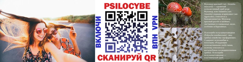 Псилоцибиновые грибы прущие грибы  Петрозаводск 